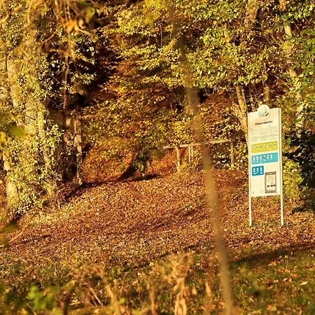 Apartamento Mila Og Rieden (Mayen-Koblenz)